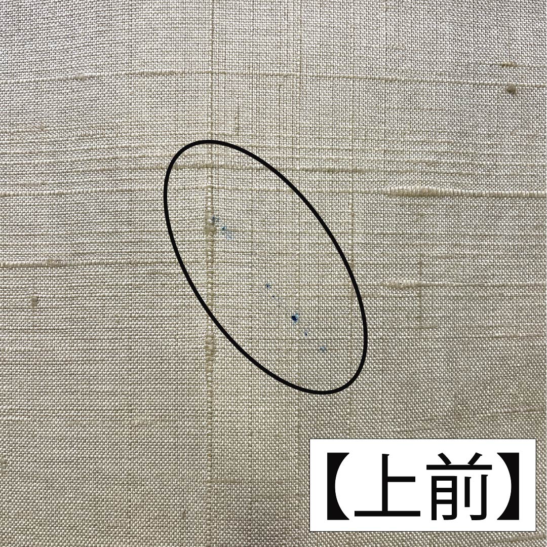 訪問着 正絹 Bランク 袷 身丈160cm 裄丈68cm 亜麻色（あまいろ） 生紬 桶絞り 乾山絞り 伝統工芸作家 吉澤与市 ベージュ系 1112007414425