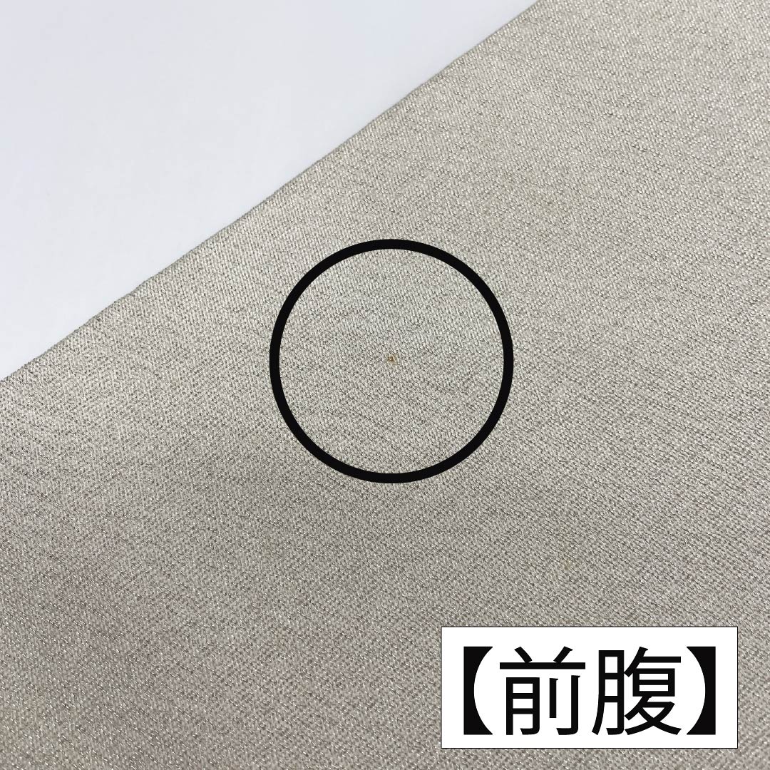 名古屋帯 正絹 Aランク 貝桶 綴れ織 刺繍 帯丈371cm ポイント柄 セミフォーマル 銀系 1124010293322 名古屋仕立て