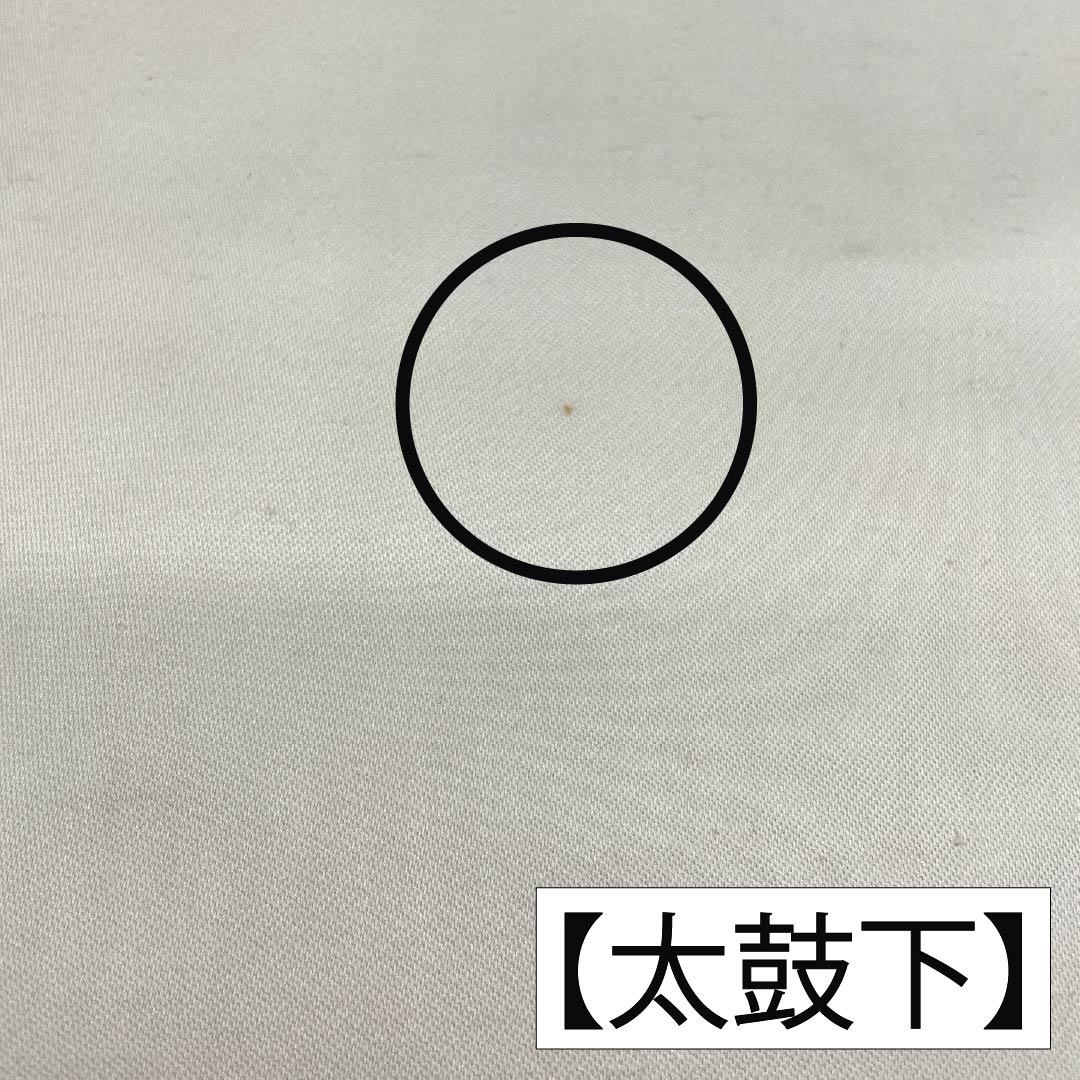 名古屋帯 正絹 Aランク 山茶花 西陣織 紬地 帯丈363cm ポイント柄 カジュアル 白系 1124010153311 名古屋仕立て