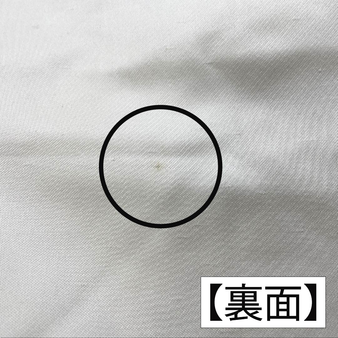 名古屋帯 正絹 Aランク 山茶花 西陣織 紬地 帯丈363cm ポイント柄 カジュアル 白系 1124010153311 名古屋仕立て