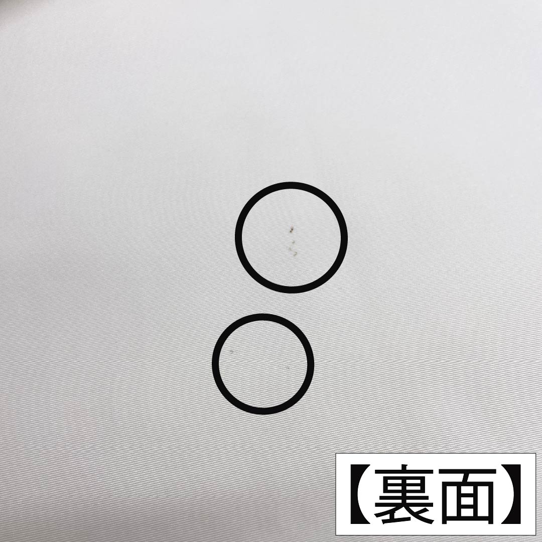 名古屋帯 ポリエステル Aランク 名古屋仕立て 白土色（しらつちいろ） 風景画 染め帯 帯丈370cm ポイント柄 セミフォーマル 白系 1124013583311