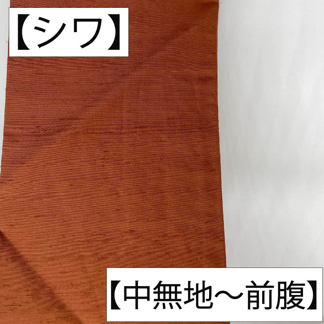名古屋帯 正絹 Sランク 名古屋仕立て 肉桂色（にっけいいろ） 紬地 汕頭刺繡 相良刺繡 帯丈370cm ポイント柄 カジュアル 茶系 1124013552314